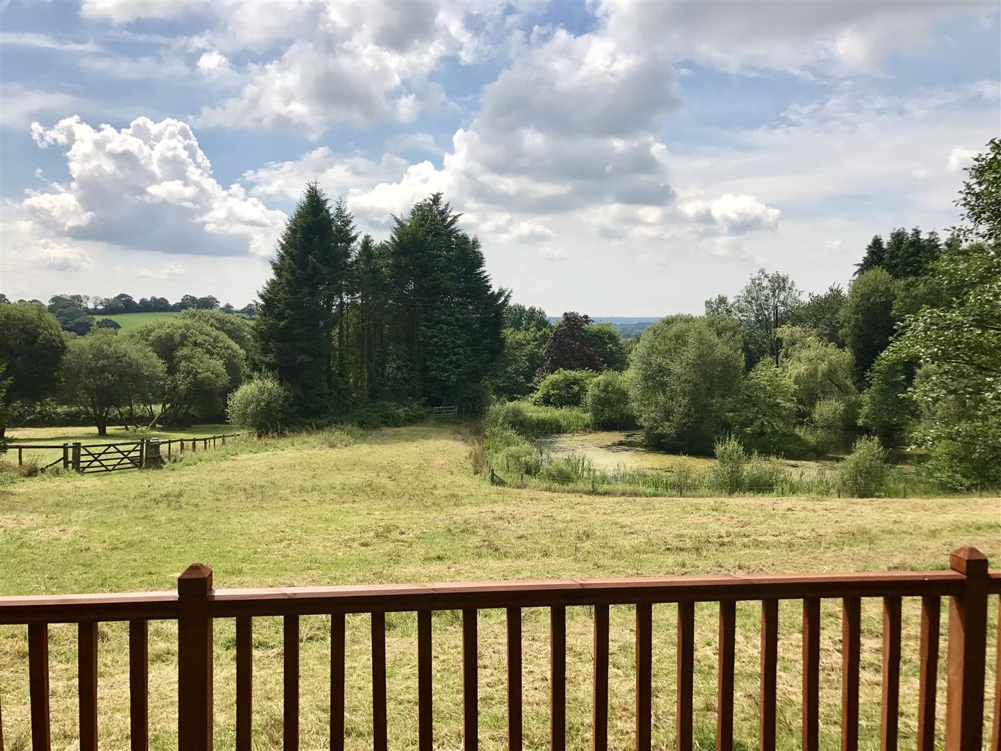 A VIEW FROM THE SUMMER HOUSE